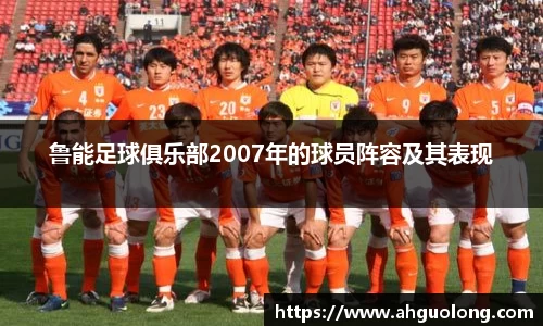 鲁能足球俱乐部2007年的球员阵容及其表现